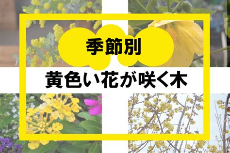 木 代表種|【状況別】庭木の代表種まとめ！選び方から植え方のポイ。